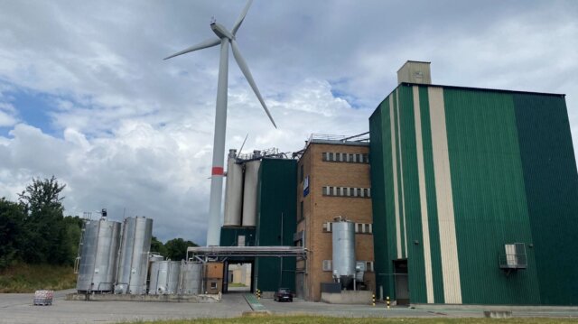 Renewable energy for companies
